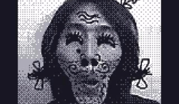 Ile wiesz o Gameboy Camera