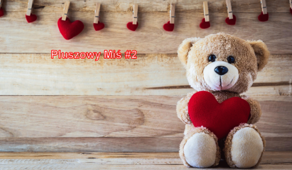 Pluszowy Miś #2