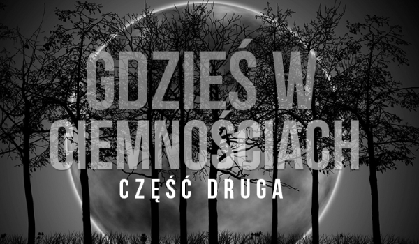 Gdzieś w ciemnościach #2