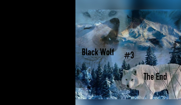 Black Wolf #3-The End