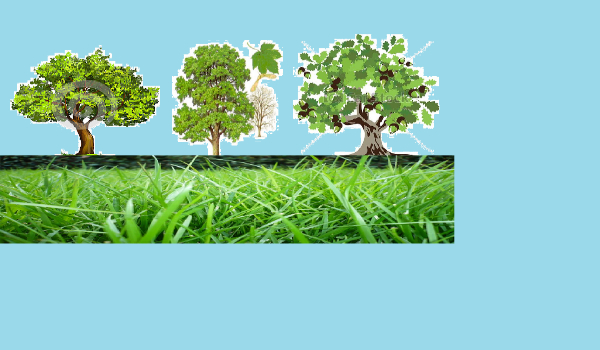 Kim jesteś z minecraft