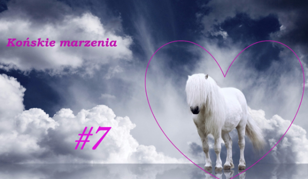 Końskie marzenia #7