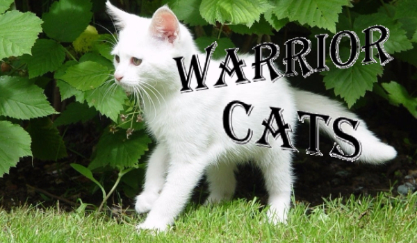 Warrior Cats-Rozdział VI