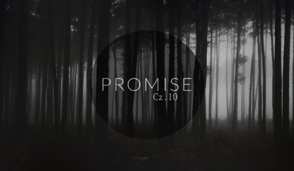 Promise|H.S #10