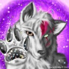 KlaraQX