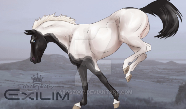 Magiczny Świat #2 Koń!!!