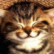 poczatkujaca_Youtuberka