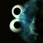 Cooki_Monster_Girl