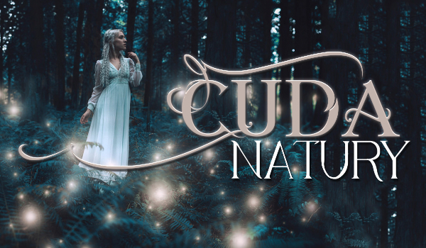 Cuda natury #2