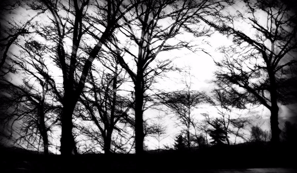 Dreams are leaking #2