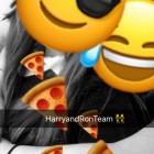 HarryandRonTeam
