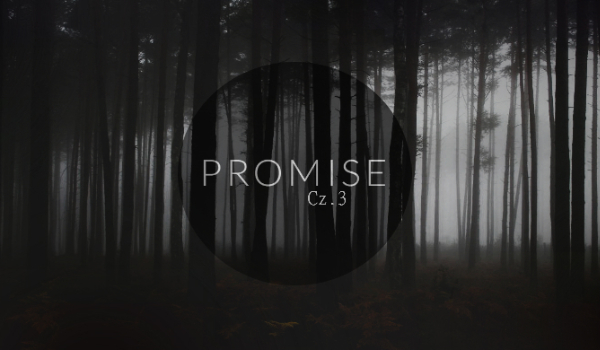 Promise|H.S. #3