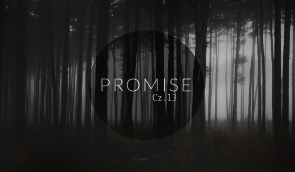 Promise|H.S. #13