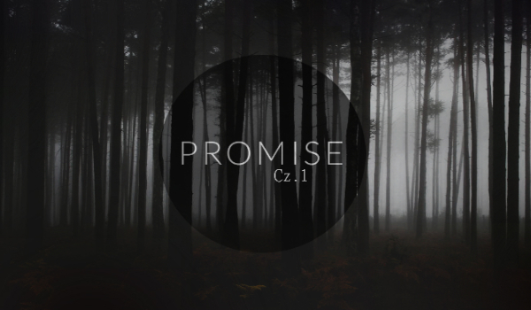 Promise|H.S. #1