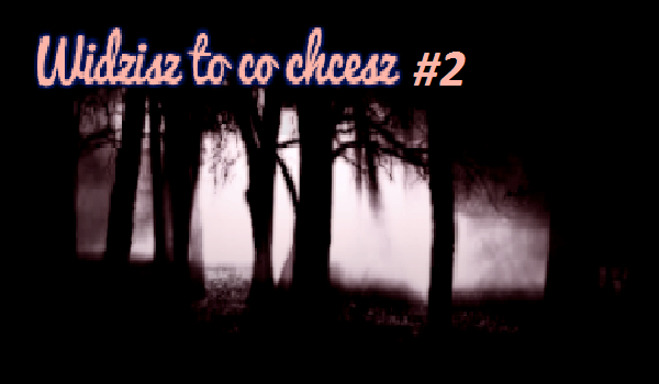 Widzisz to, co chcesz. #2
