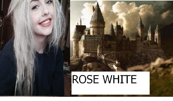 Rose White #2