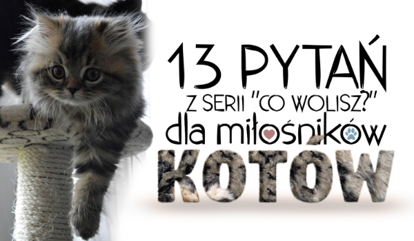 13 pytań z serii „Co wolisz?” na temat kotów!