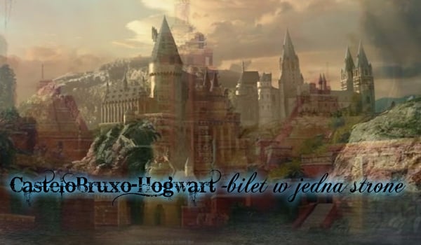 CasteloBruxo-Hogwart-bilet w jedną stronę #0