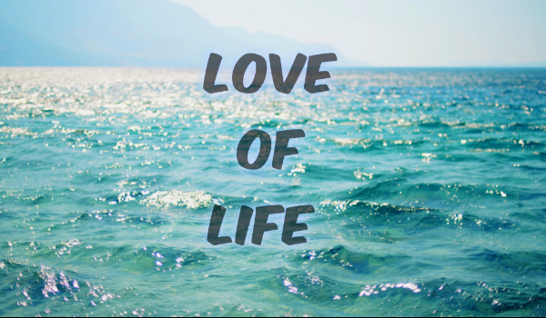 Love Of Life ~Postacie~