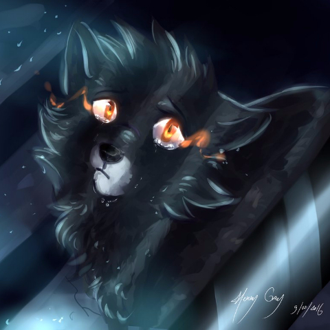 WOLF1536