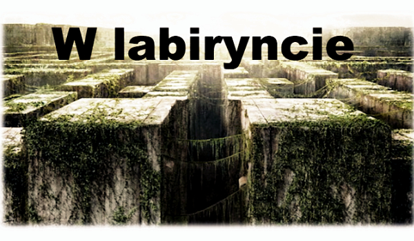 W labiryncie #2