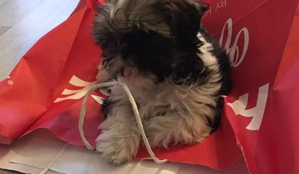 Kto do ciebie pasuje