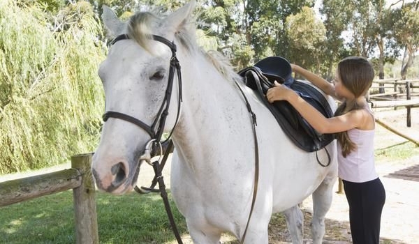 jeździecka zgadywanka