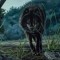 DangerousWolf