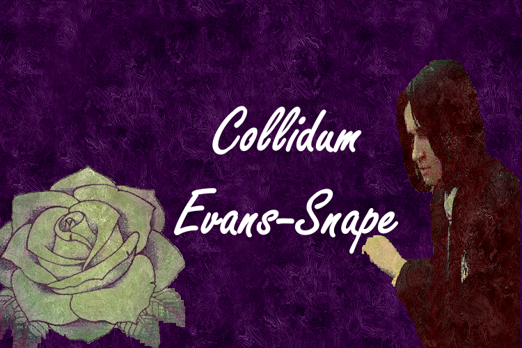 Callidans Evans-Snape I