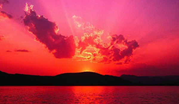 Wampirza Miłość #2 Pierwsza miłość?!