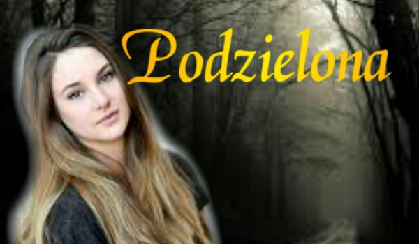 Podzielona