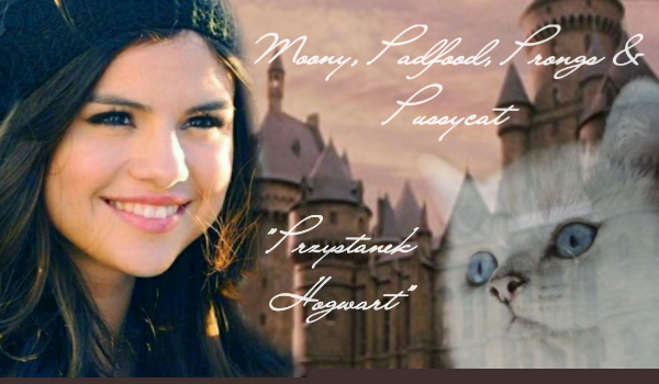 Jesteś jedną z nich… #1