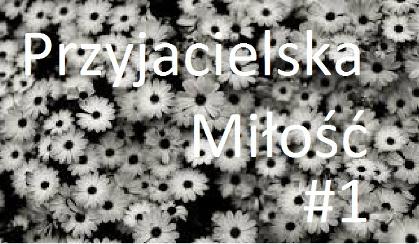 Przyjacielska Miłość #1