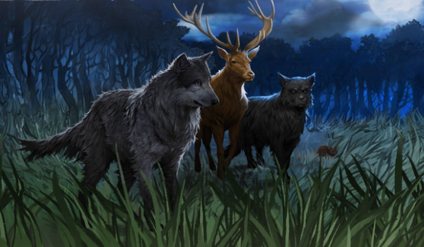 Huncwoci powracają #4