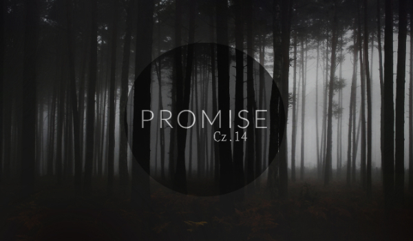 Promise|H.S. #14