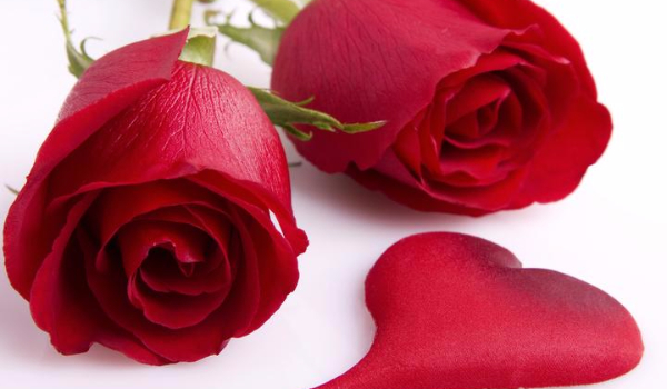 Stalowa miłość część 5