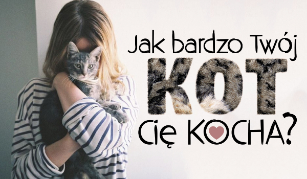 Jak bardzo kocha Cię Twój kot?
