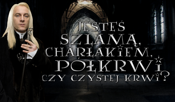 Jesteś szlamą, charłakiem, półkrwi czy czystej krwi?