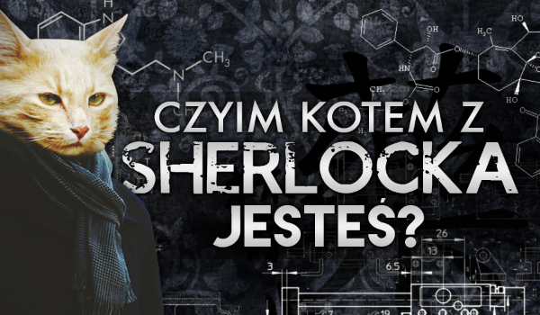 Czyim kotem z „Sherlocka” jesteś?