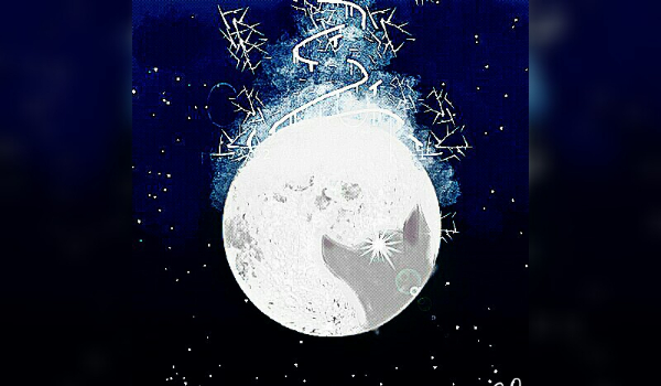 white, water, she wolf    #2