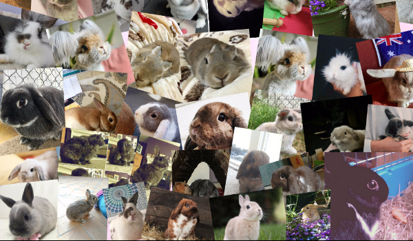 Czy one nie są urocze? #4