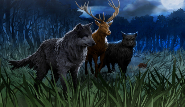 Huncwoci powracają #5