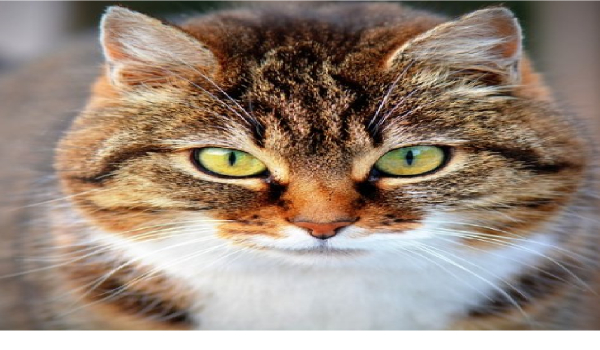 Jasiu is back! Co stanie się jasiowi #2