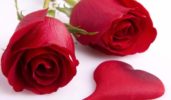 Stalowa miłość część 6