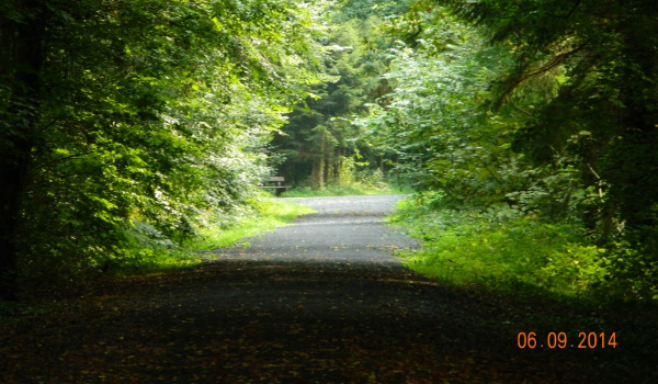 Lassy with memories # 2