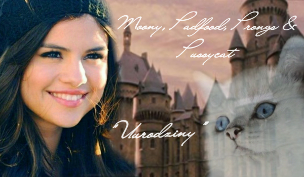 Jesteś jedną z nich… #5