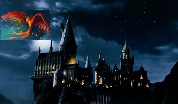 Strażniczka Hogwartu#01