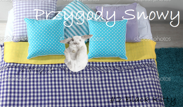 Przygody Snowy #2-Black Kitty