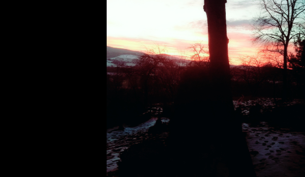 Toksyczna miłość #2