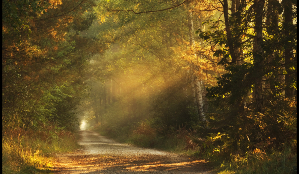 niezwykła dziewczyna  # 2